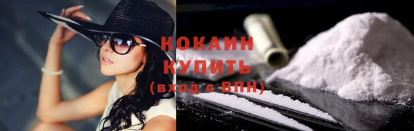 прущие грибы Абаза