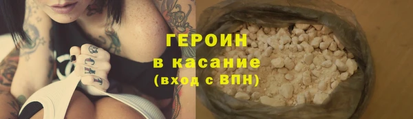 прущие грибы Абаза