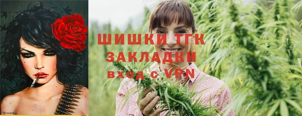 амф Абинск