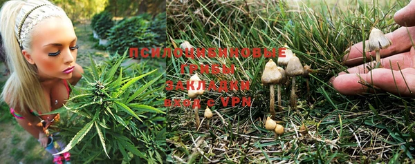 PSILOCYBIN Алексеевка