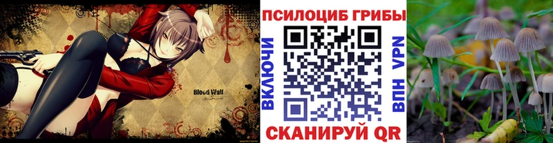 Псилоцибиновые грибы Cubensis  где купить   Батайск 